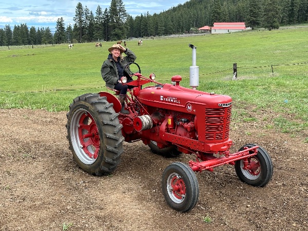Person riding a vintage red tractor on a farm with green fields and trees.