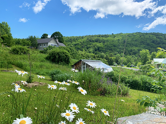 Scenic view of a rural farm with wildflowers and green hills under a blue sky.