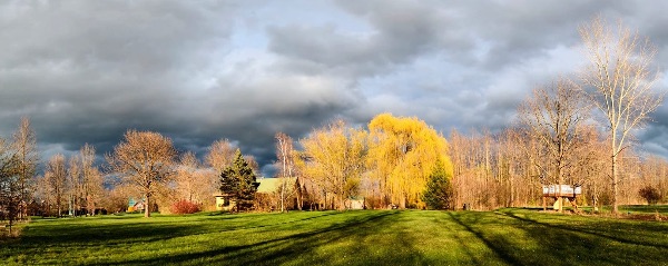 Scenic view of trees and open field with cloudy sky in the background.