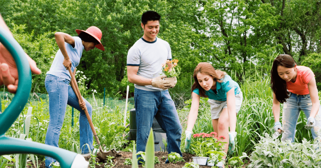 People gardening outdoors in a community garden with lush greenery.