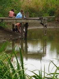 People fishing on a wooden dock over a calm river in a natural setting.