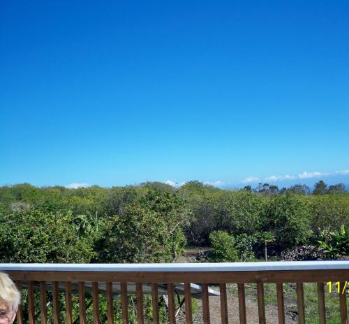 Scenic view of lush green trees under a clear blue sky from a balcony.