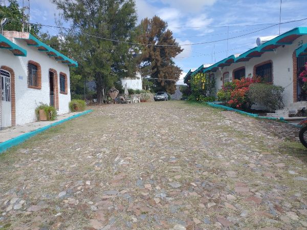 Cobblestone street in a community with white buildings and colorful plants.