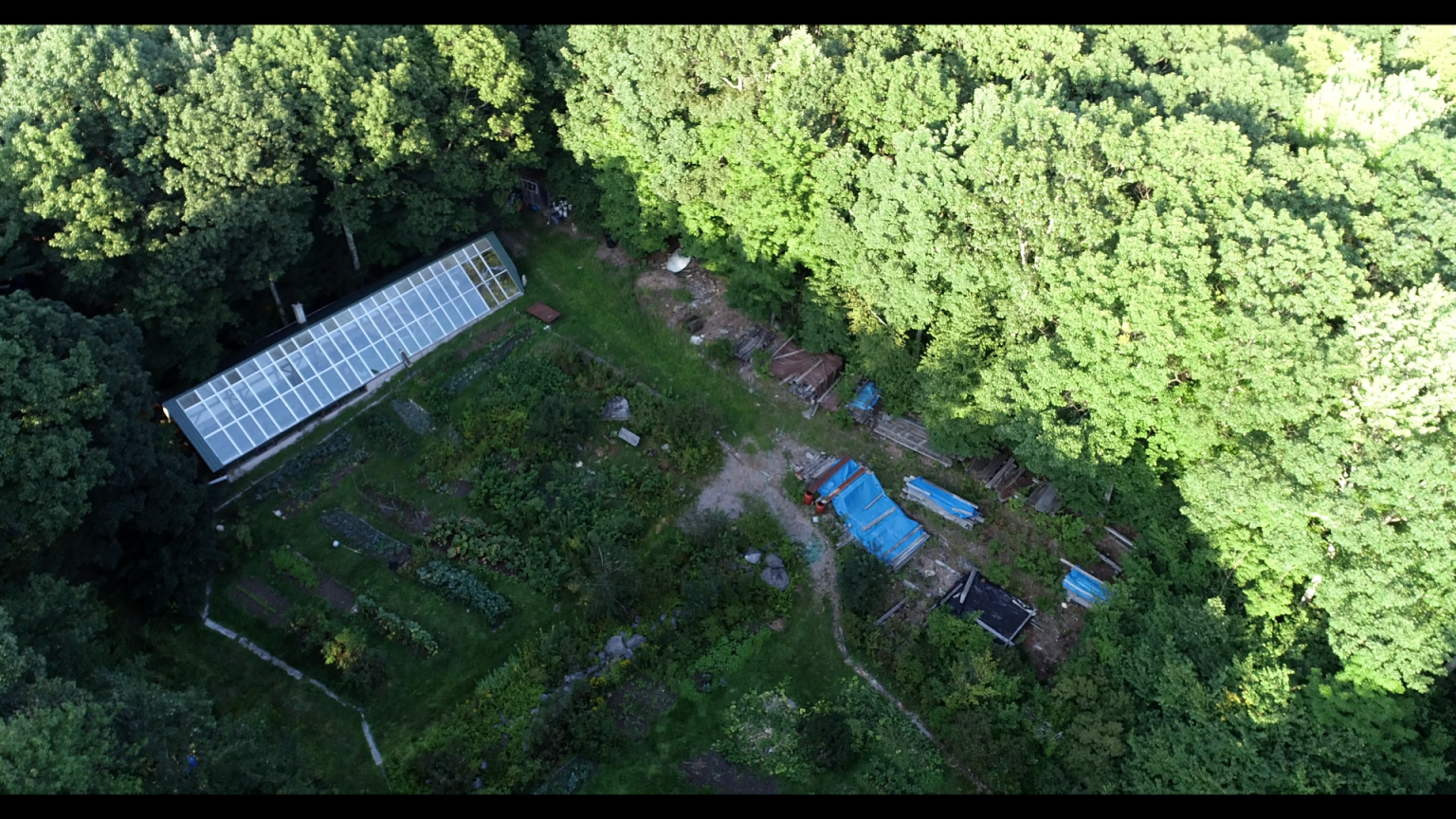 Aerial view of a community garden with greenhouses and lush trees.