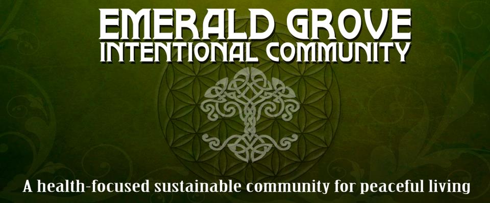 Emerald Grove Intentional Community logo with green background and tree symbol.