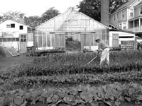 Community garden with greenhouse and cultivated plots in an urban setting.