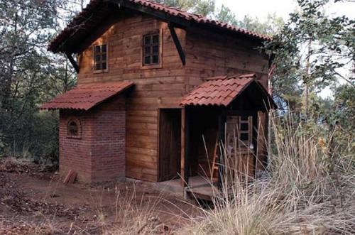 Rustic wooden tiny house in a natural forest setting.