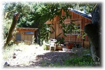 Rustic wooden cabin in a lush green forest setting.