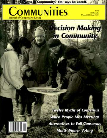 Group of people discussing outdoors, focused on decision making in community.