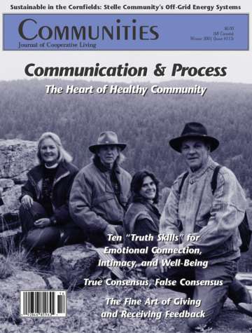 Cover of Communities Magazine #113 featuring people outdoors in a natural setting.