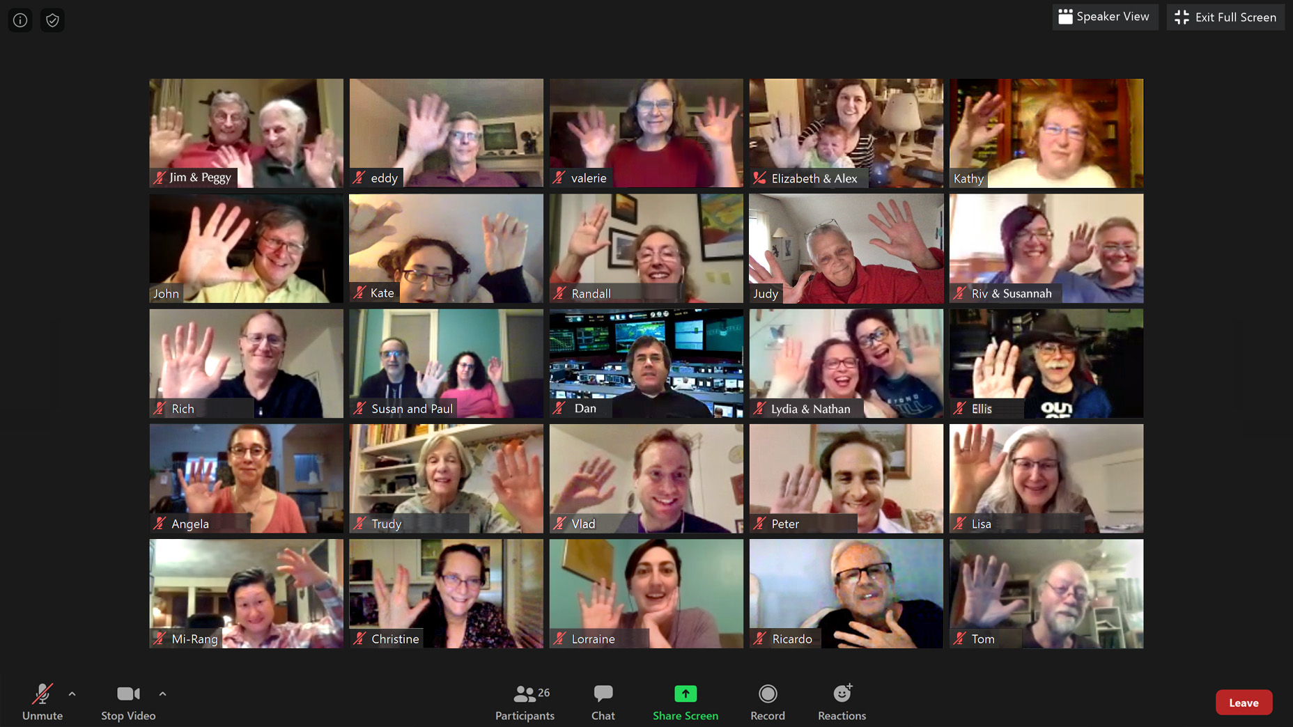 Group of diverse people waving during a virtual meeting for intentional community.