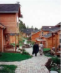 Co-housing community with wooden homes and shared outdoor space.
