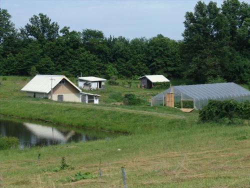 Sustainable eco-homes and greenhouse in a lush green community setting.
