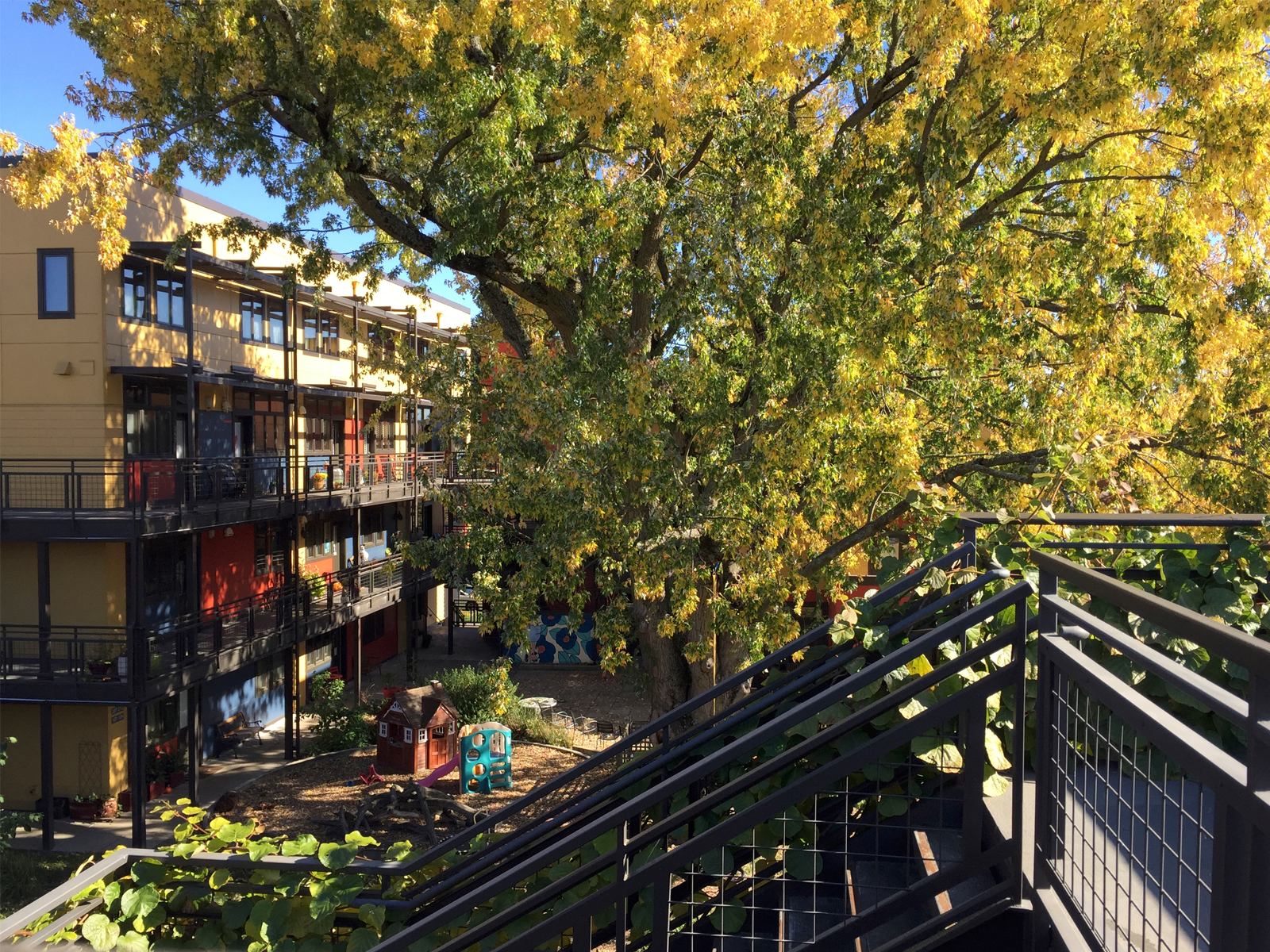 Colorful apartment complex with a large tree and playground in the courtyard.