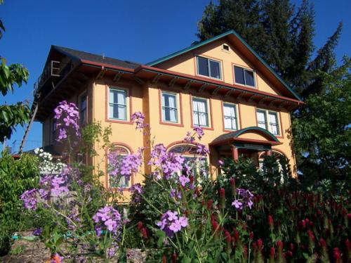 Colorful house with garden and flowers under a clear blue sky.