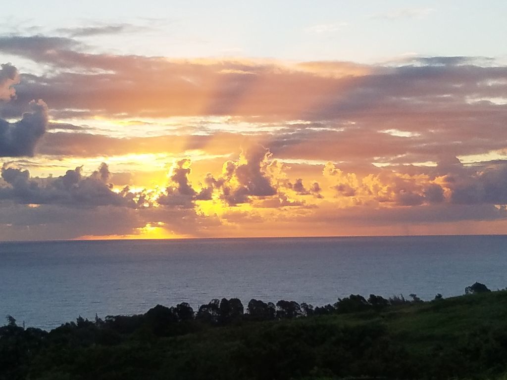 Sunset over the ocean with colorful clouds and a green landscape in the foreground.