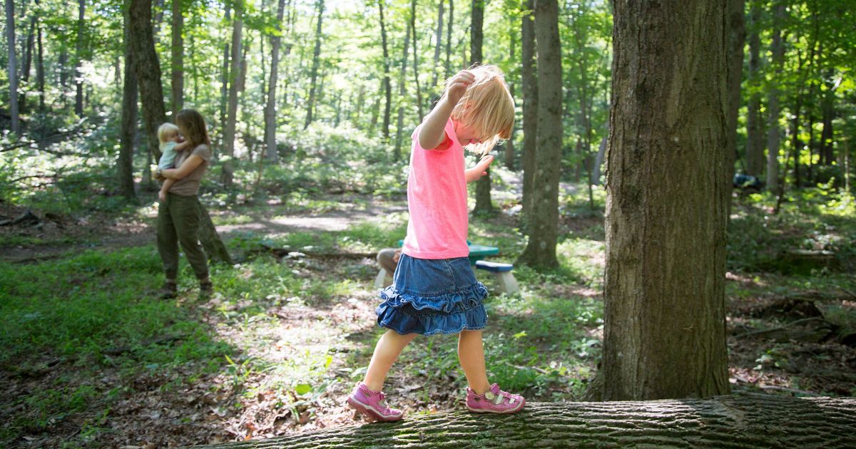 Children exploring a lush green forest in Vermont.