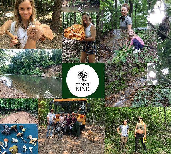 Children exploring nature, mushroom foraging, and outdoor activities at ForestKind.