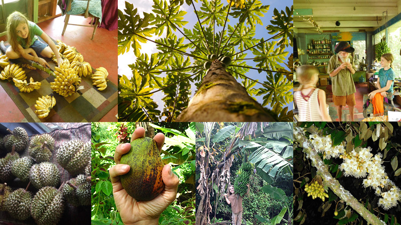 Children exploring nature and plants at Asanté Gardens community.