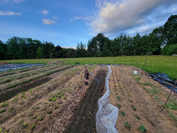 Community farm with planting beds and a person working in the soil under a blue sky.