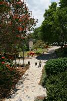 Pathway through a lush community garden with trees and plants.