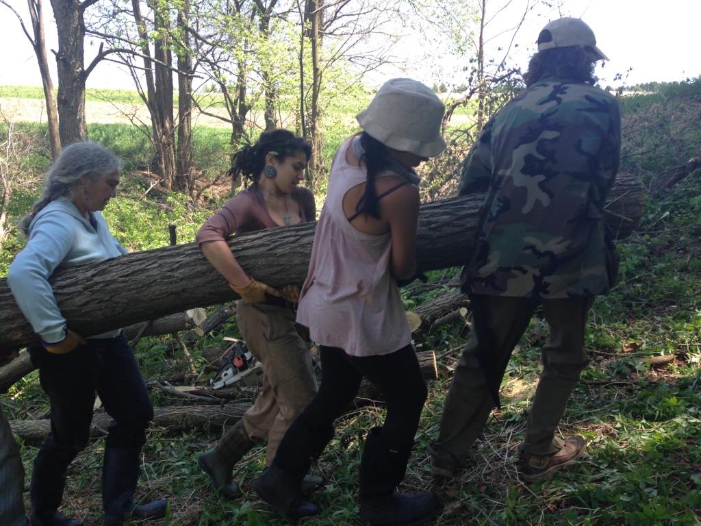 Group of people working together to move a fallen tree in a forested area.