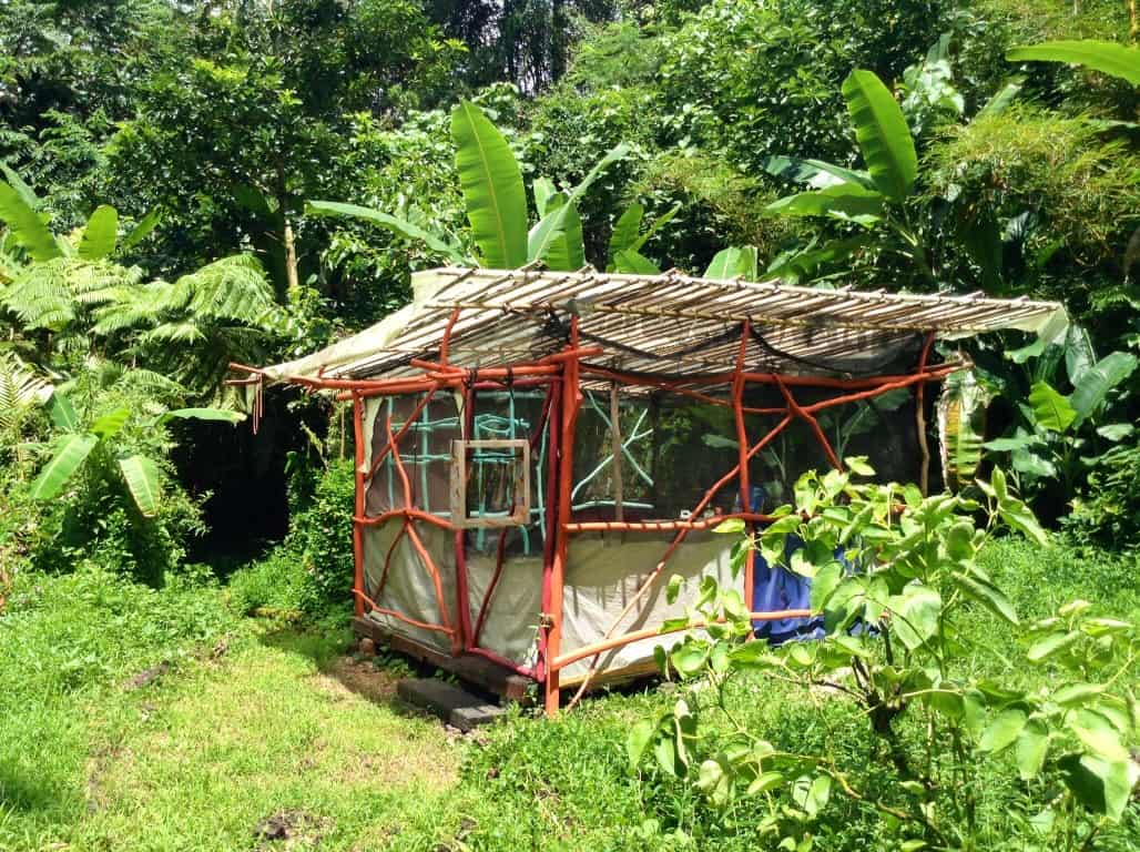 Bamboo hut in lush tropical jungle near volcanic crater.