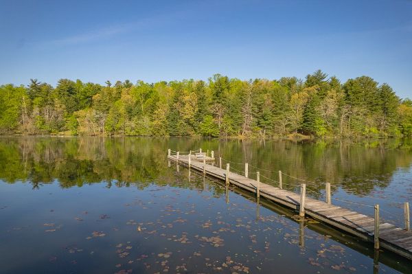 Serene lake with a wooden dock and lush green trees under a clear blue sky.