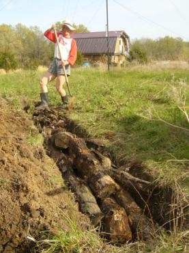 Person examining a large fallen tree trunk in a grassy field near a house.