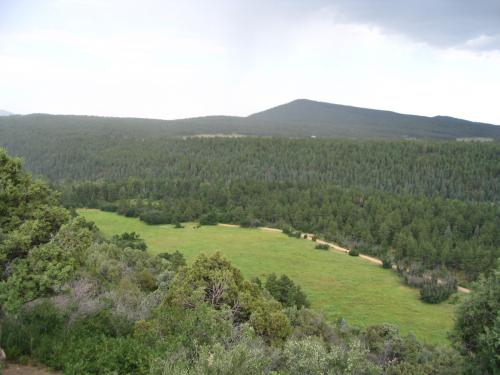Scenic view of lush green forest and rolling hills under cloudy sky.