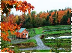 Scenic view of a sustainable community farm with a red barn and lush greenery.