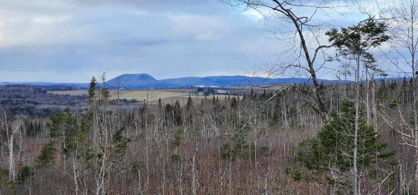 Scenic view of a forested landscape with distant mountains under a cloudy sky.