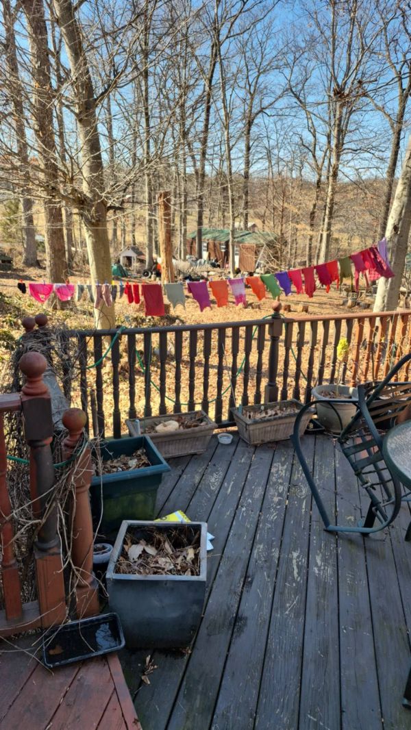 Outdoor scene with laundry hanging on a line in a wooded backyard.