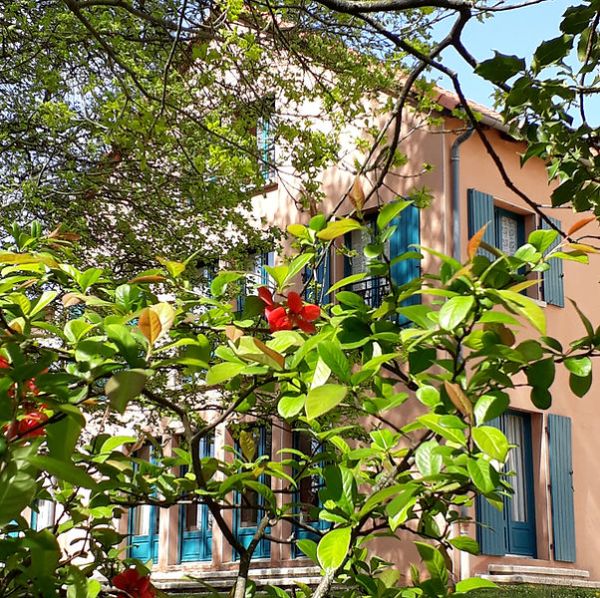 Colorful building with blue shutters surrounded by lush green foliage.