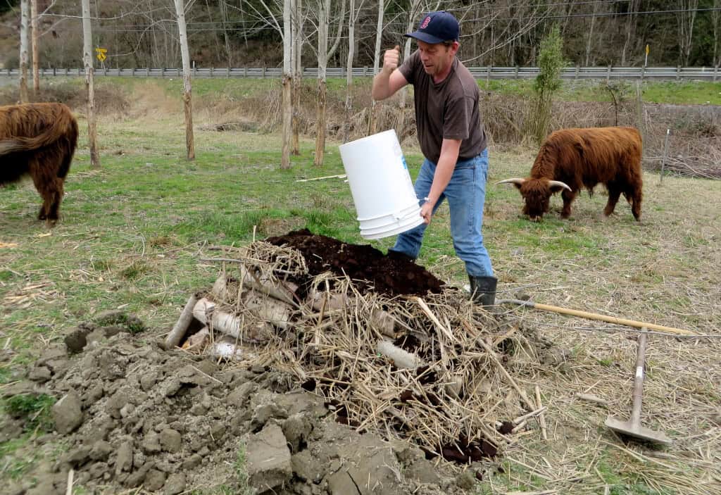 Man spreading compost over soil with bison grazing nearby.