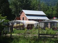 Rural farm scene with barn, boats, and lush greenery in the background.