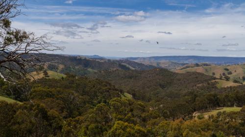 Scenic view of rolling hills and lush greenery in a rural landscape.