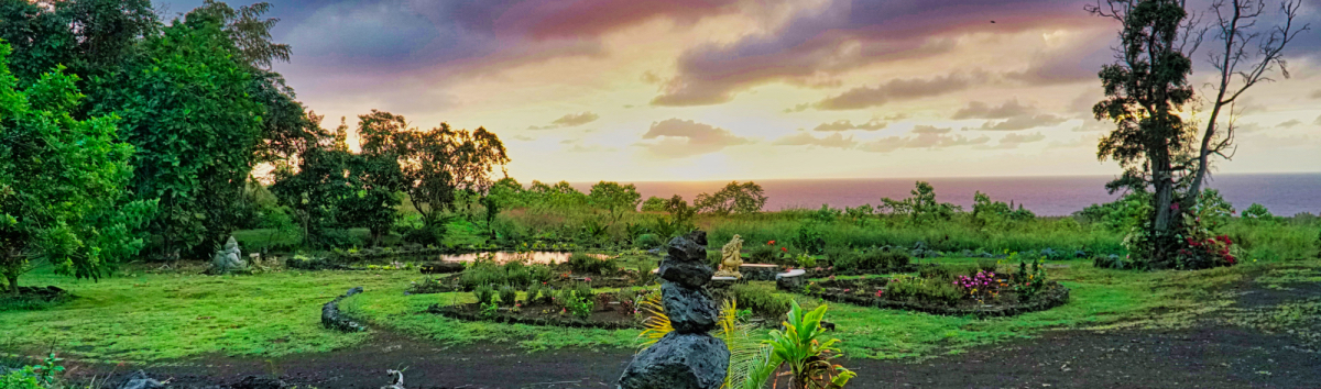 Serene landscape of a community garden with sunset sky and lush greenery.