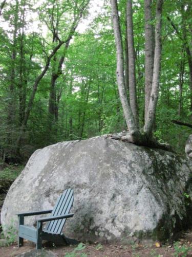 Secluded forest scene with a large boulder and a wooden chair.
