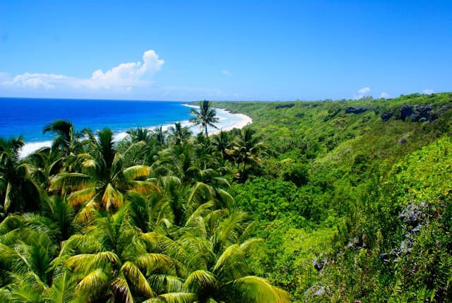 Tropical island with lush green forest and clear blue ocean under a bright sky.
