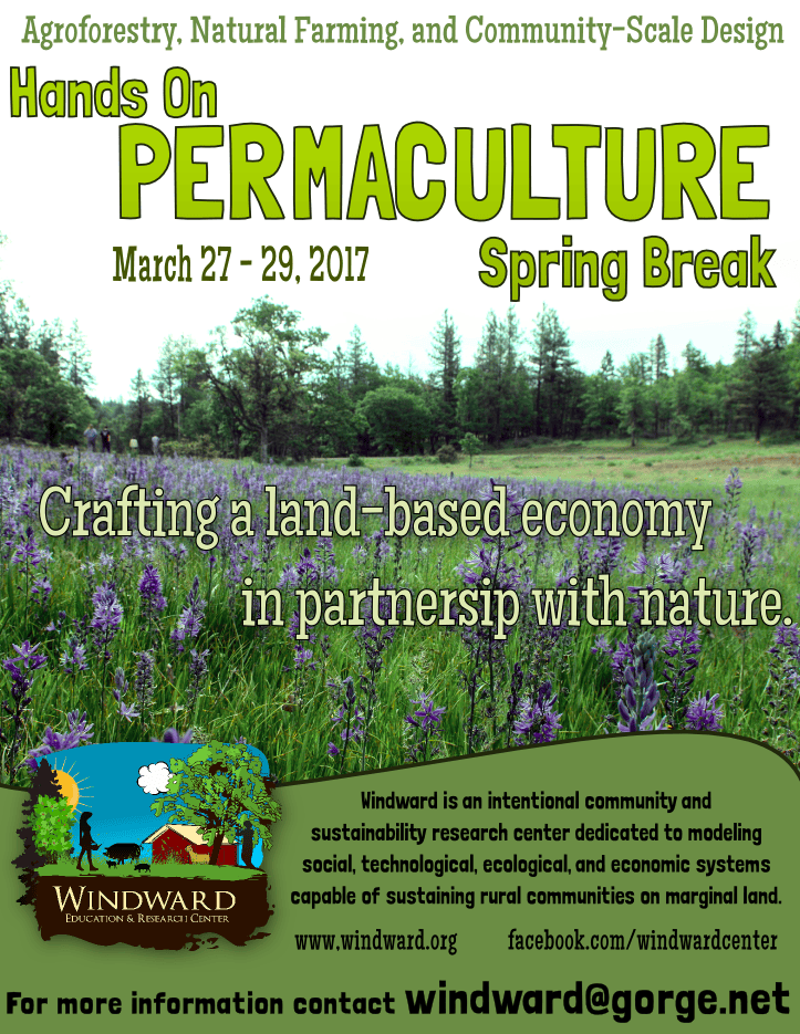 Permaculture workshop flyer with natural landscape and purple flowers.