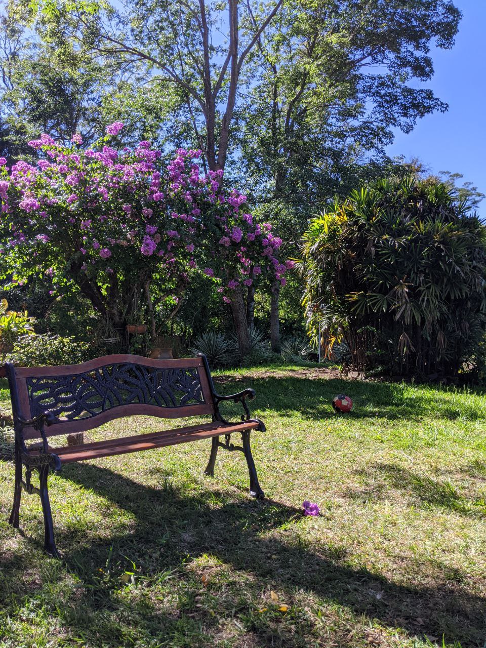 Serene garden scene with a bench, flowering tree, and lush greenery in Belize.
