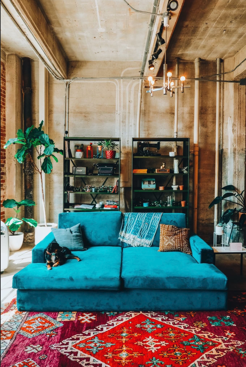 Modern living room with blue sofa, plants, and industrial decor.