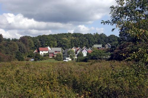 Scenic view of Cherry Hill Cohousing community with houses and greenery.