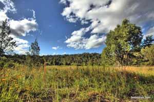 Scenic landscape with open field, trees, and blue sky with clouds.