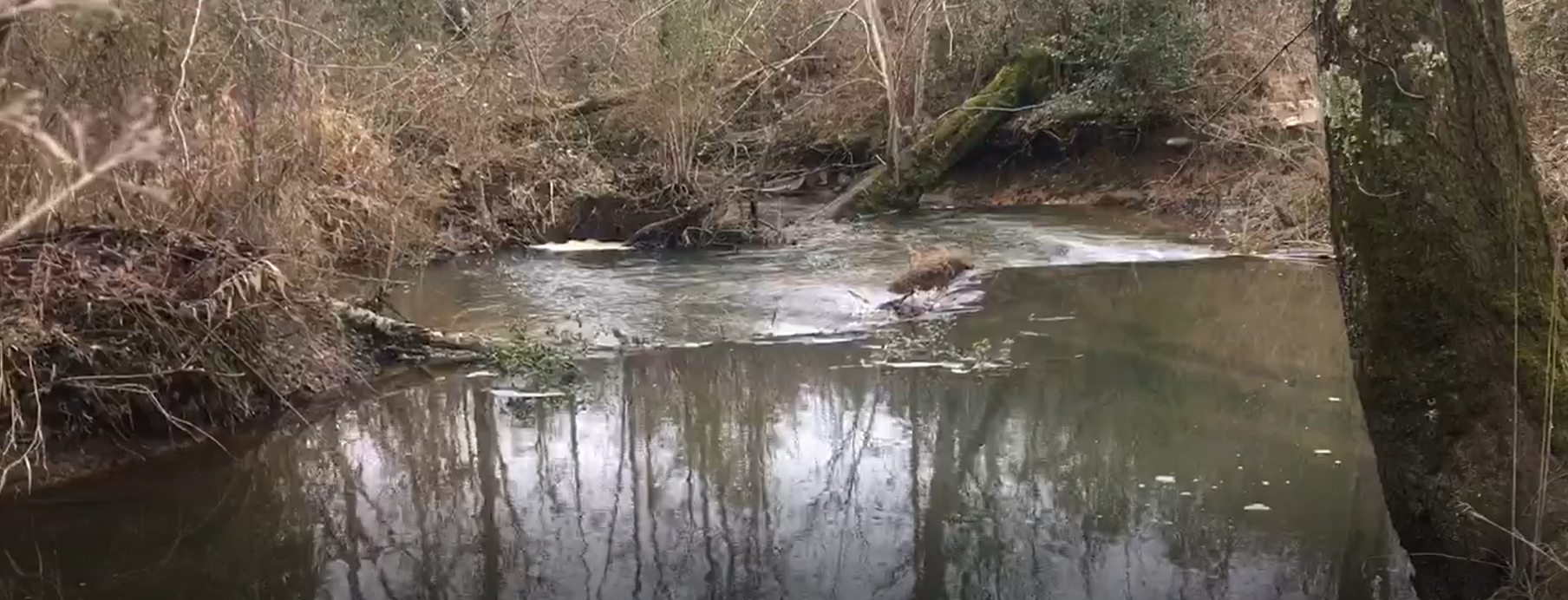 Serene river scene at Harmony Woods Homesteading & Freedom Community.