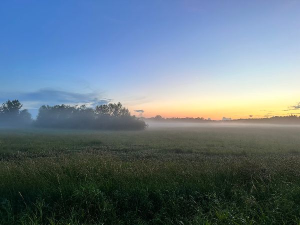 Serene sunrise over a misty green field at Foundation for Intentional Community.