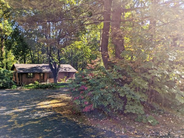 Cozy cabin surrounded by lush trees and vibrant foliage in a forest setting.