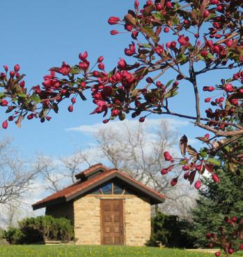Springtime scene with pink blossoms and a small brick building under a blue sky.