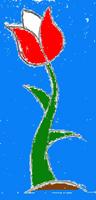 Colorful tulip flower illustration with green stem and blue background.